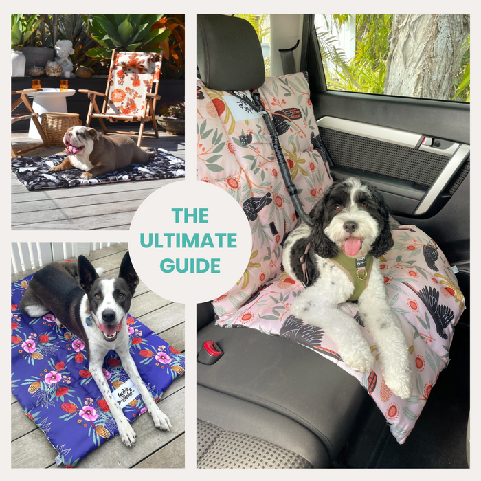 The Ultimate Guide to Using a Dog Travel Mat + 15 Reasons Why You'll Love Them!