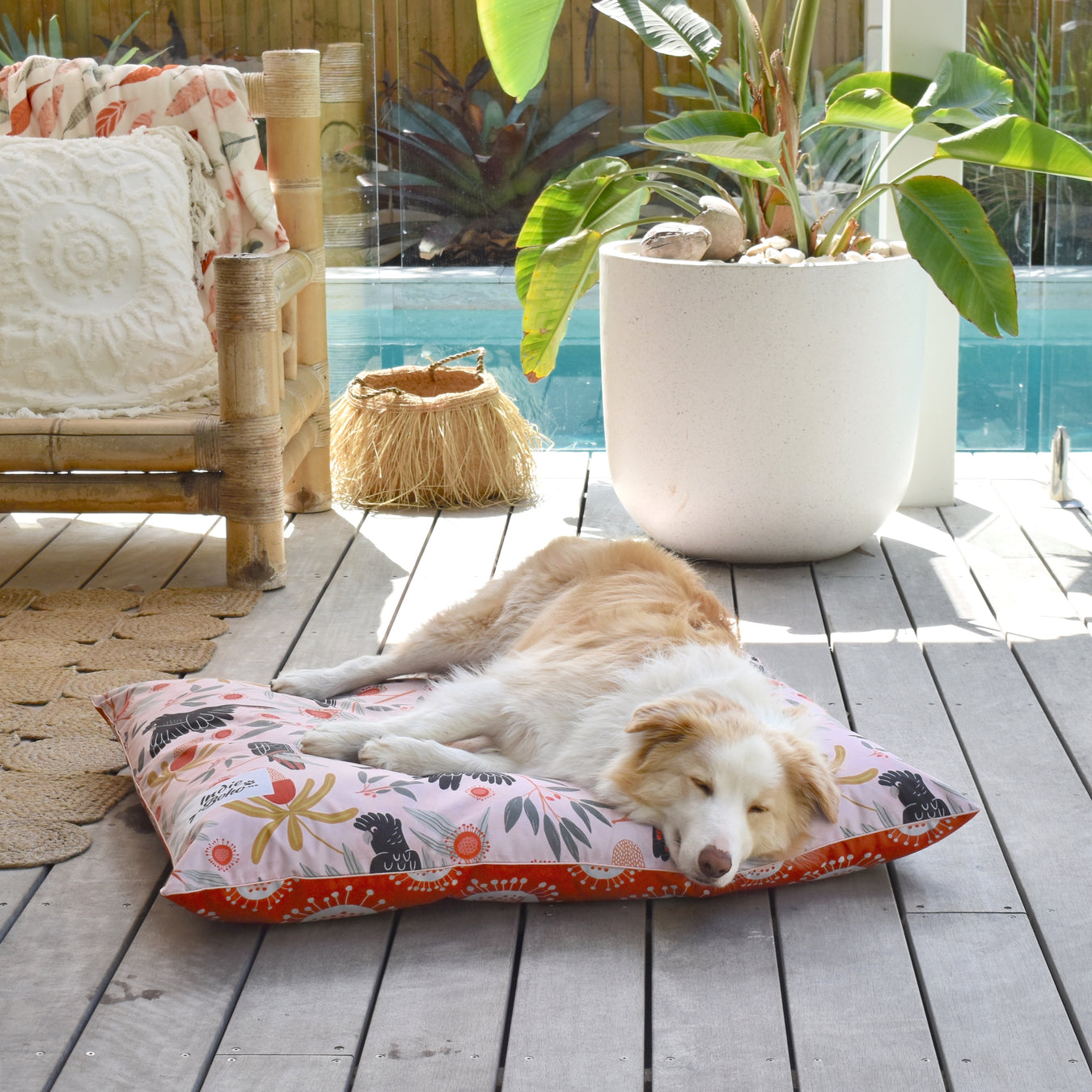 Outdoor bed border collie sleeping water resistant Australia