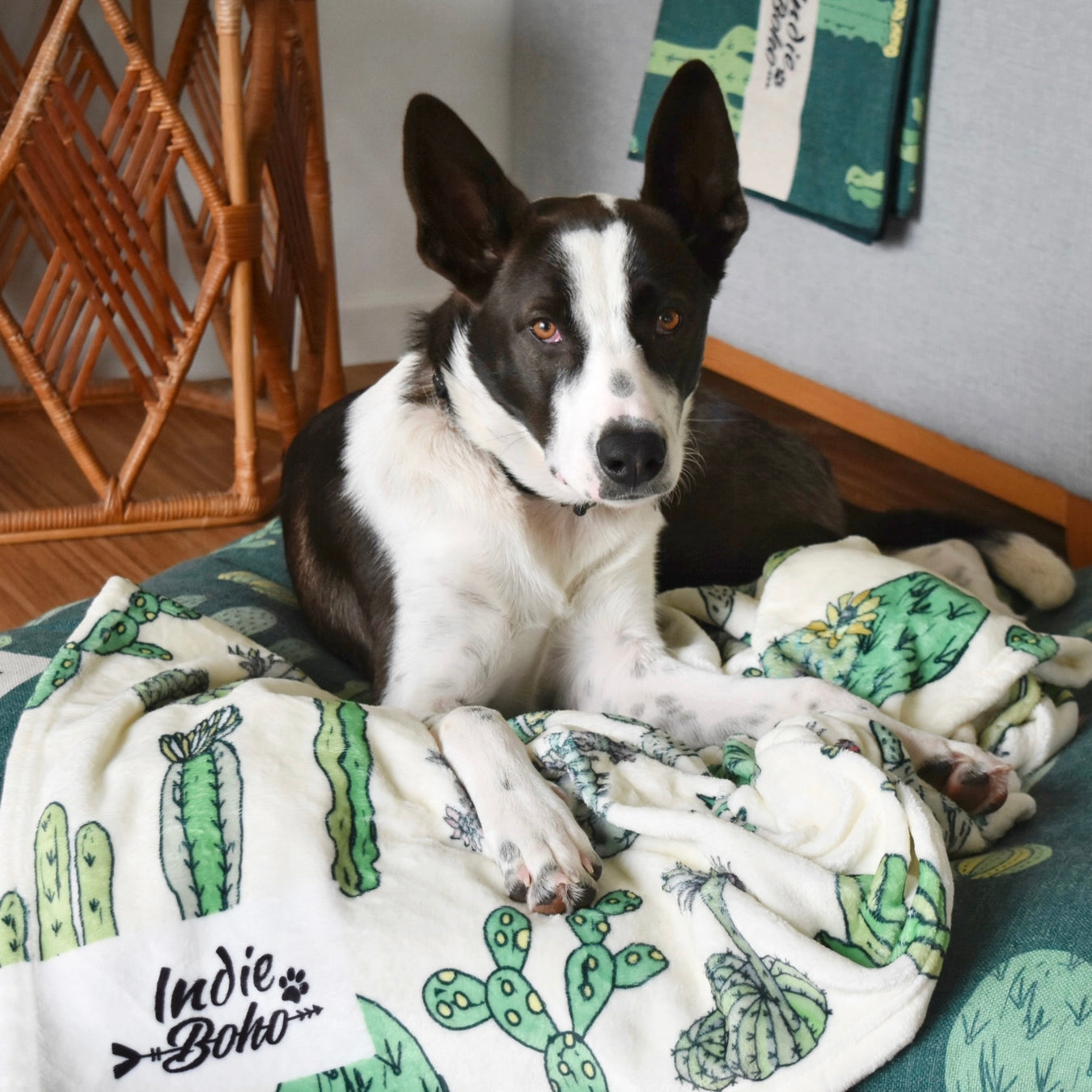 Cactus Garden washable dog bed and ceramic bowls