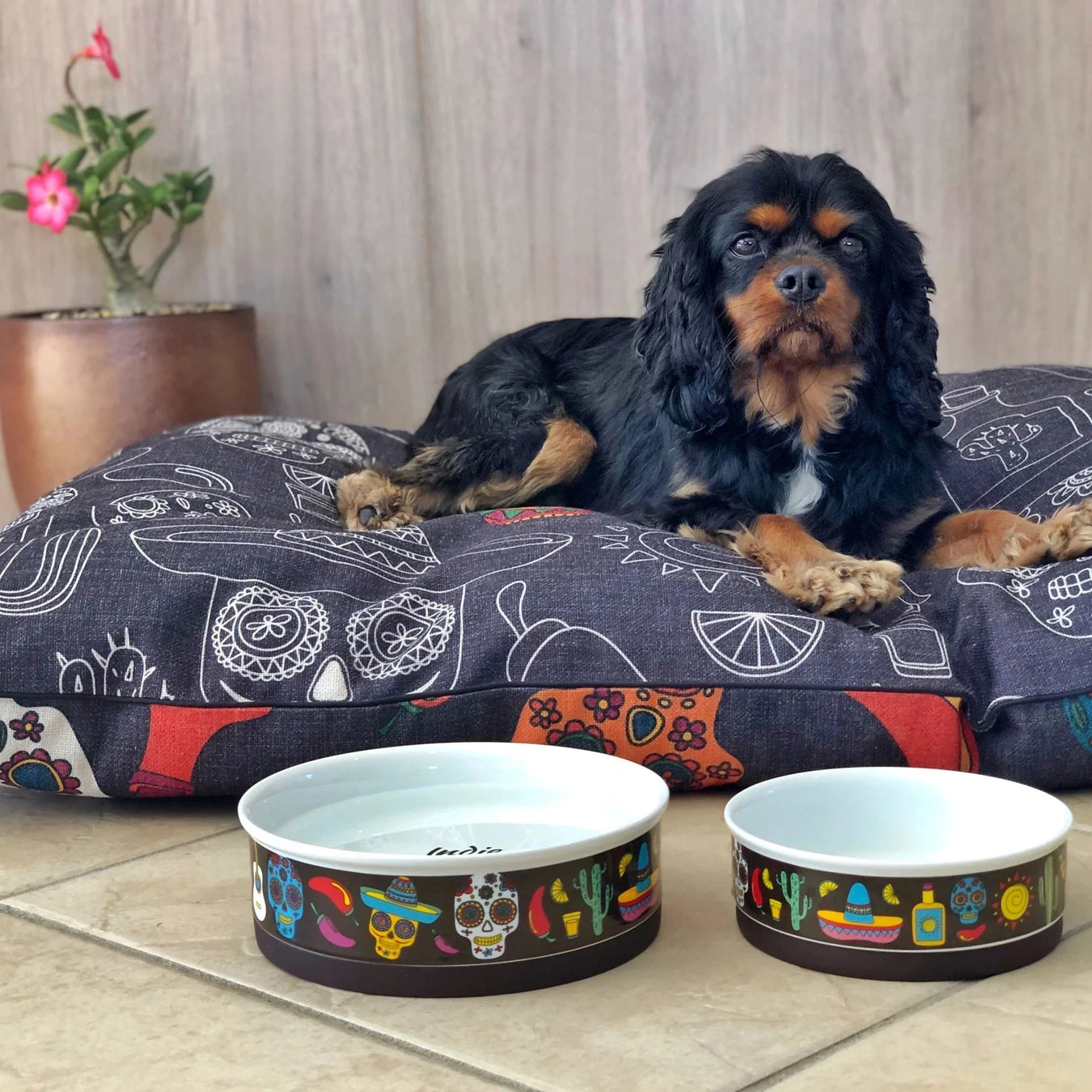 Mexican Skulls washable dog bed and ceramic bowls