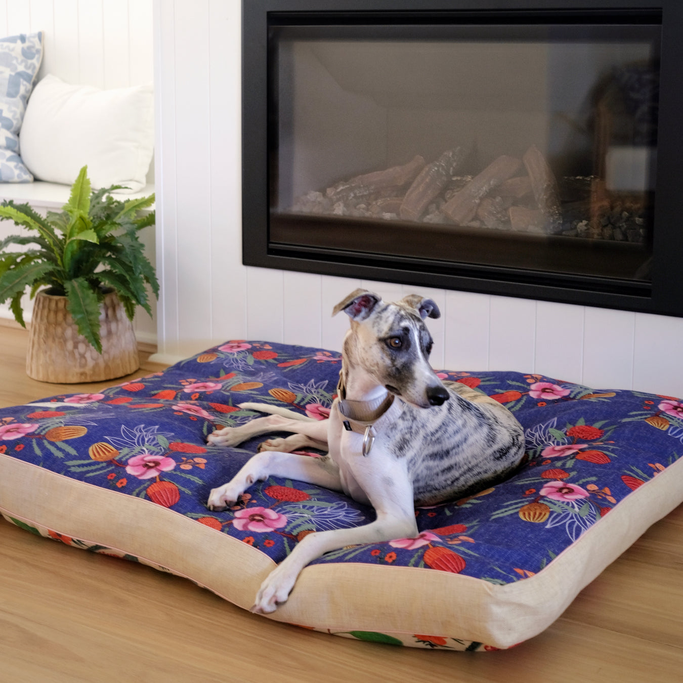 XXL big washable dog bed Australia