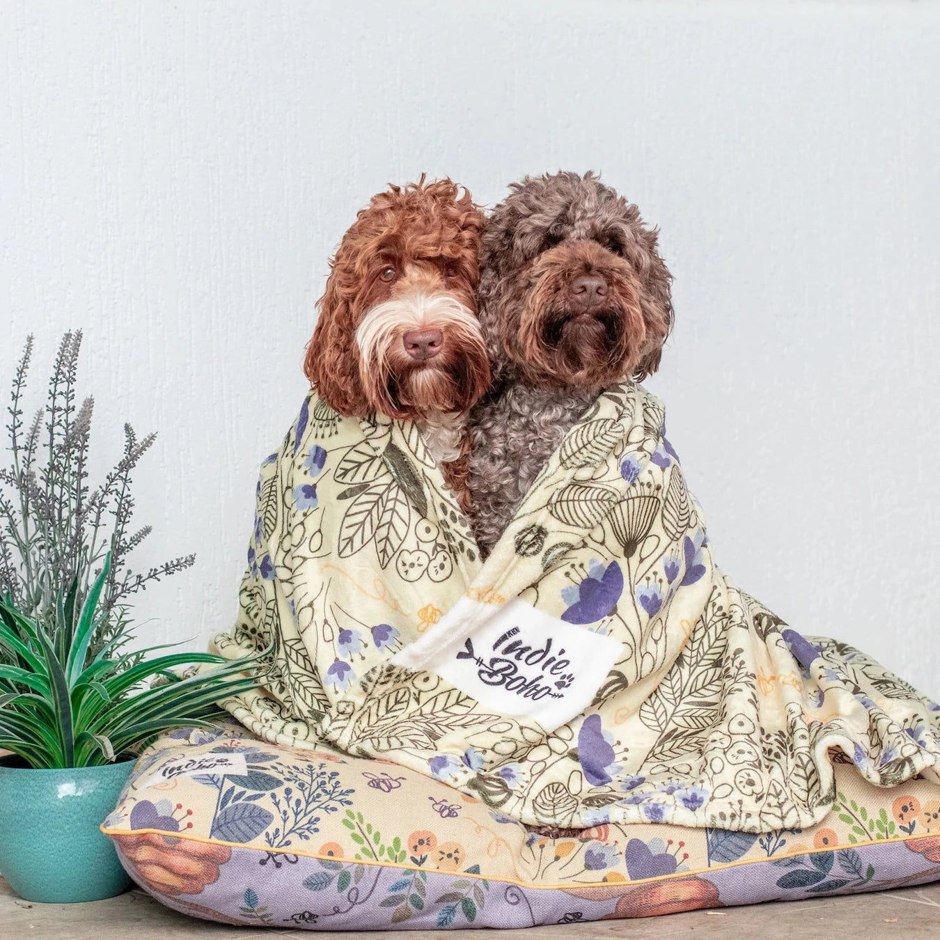 Blooming Bees yellow dog bed floral Australia