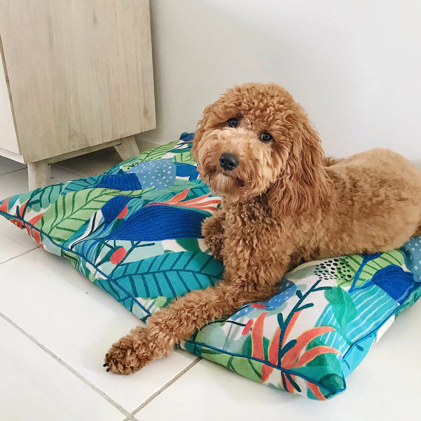 Design pet beds Australia - Jungle Song