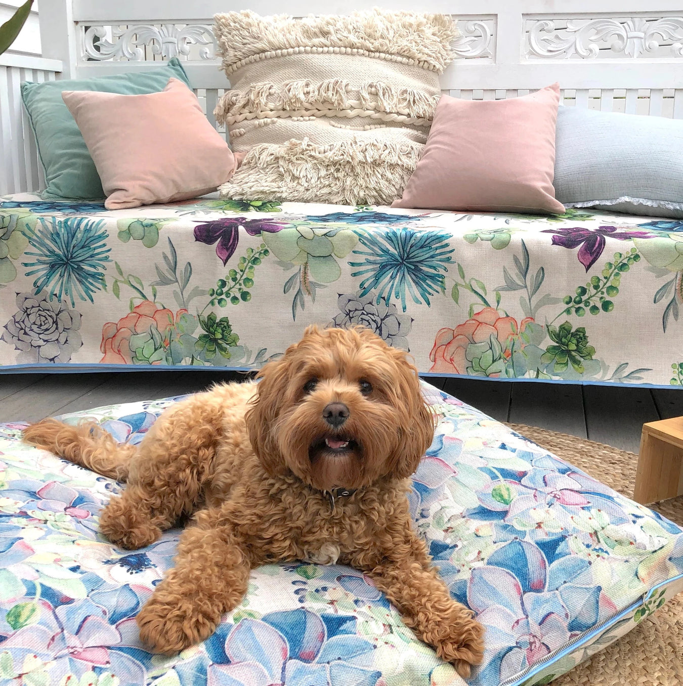 Succulent medley boho pet bed and couch cover