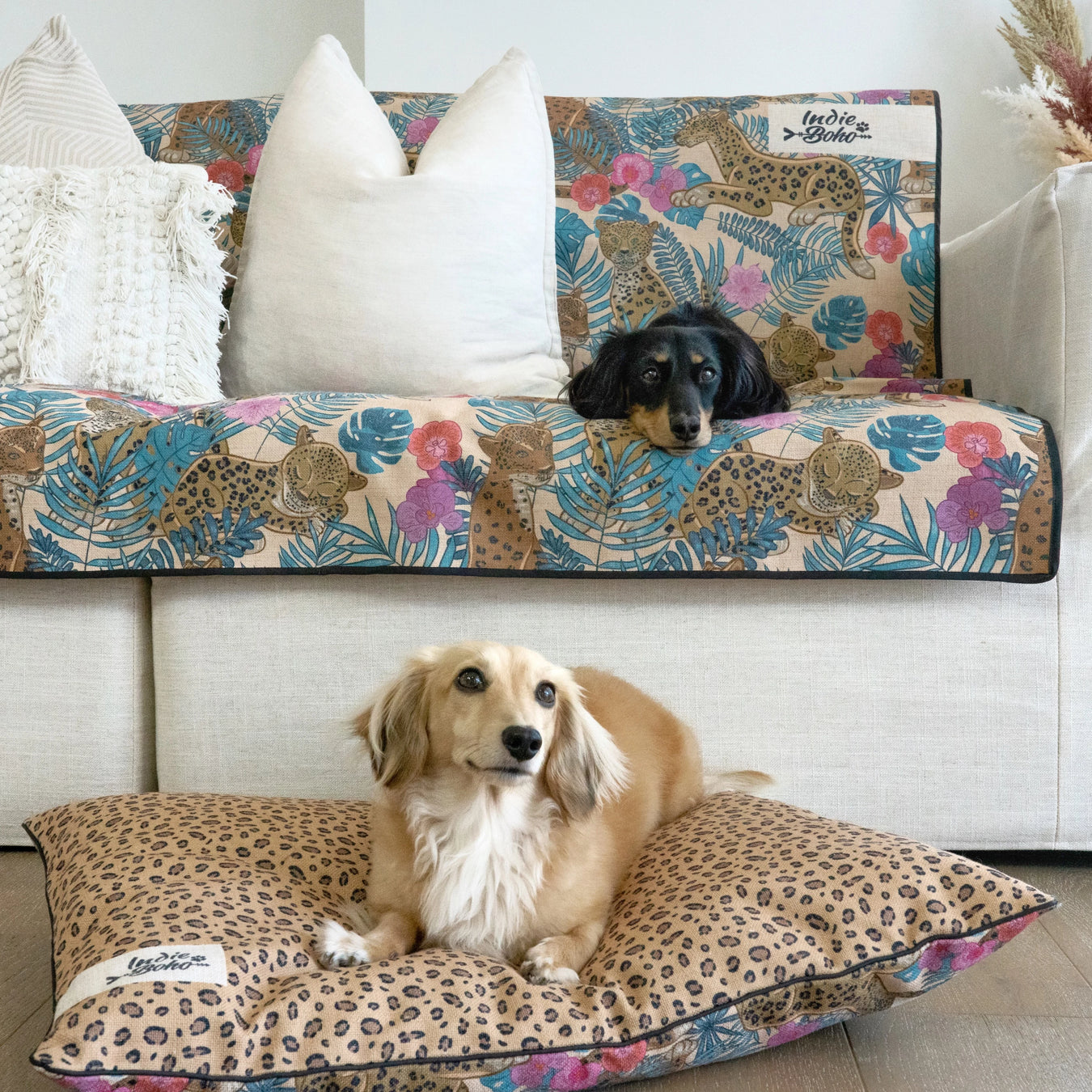 Leopard luxe designer dog beds and pet accessories Australia