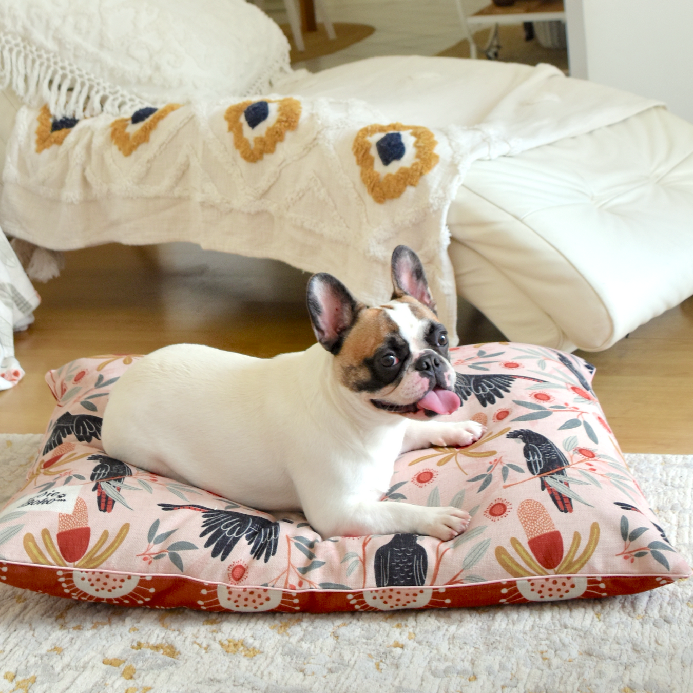 Two cute dogs on Mexican Skulls pet bed