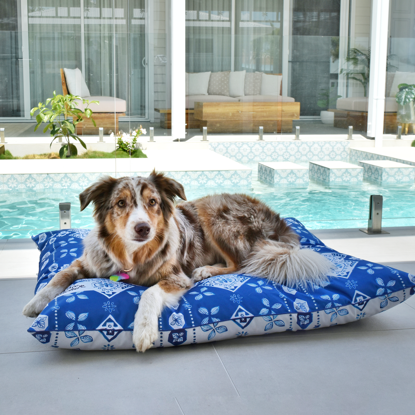 Outdoor Pet Beds