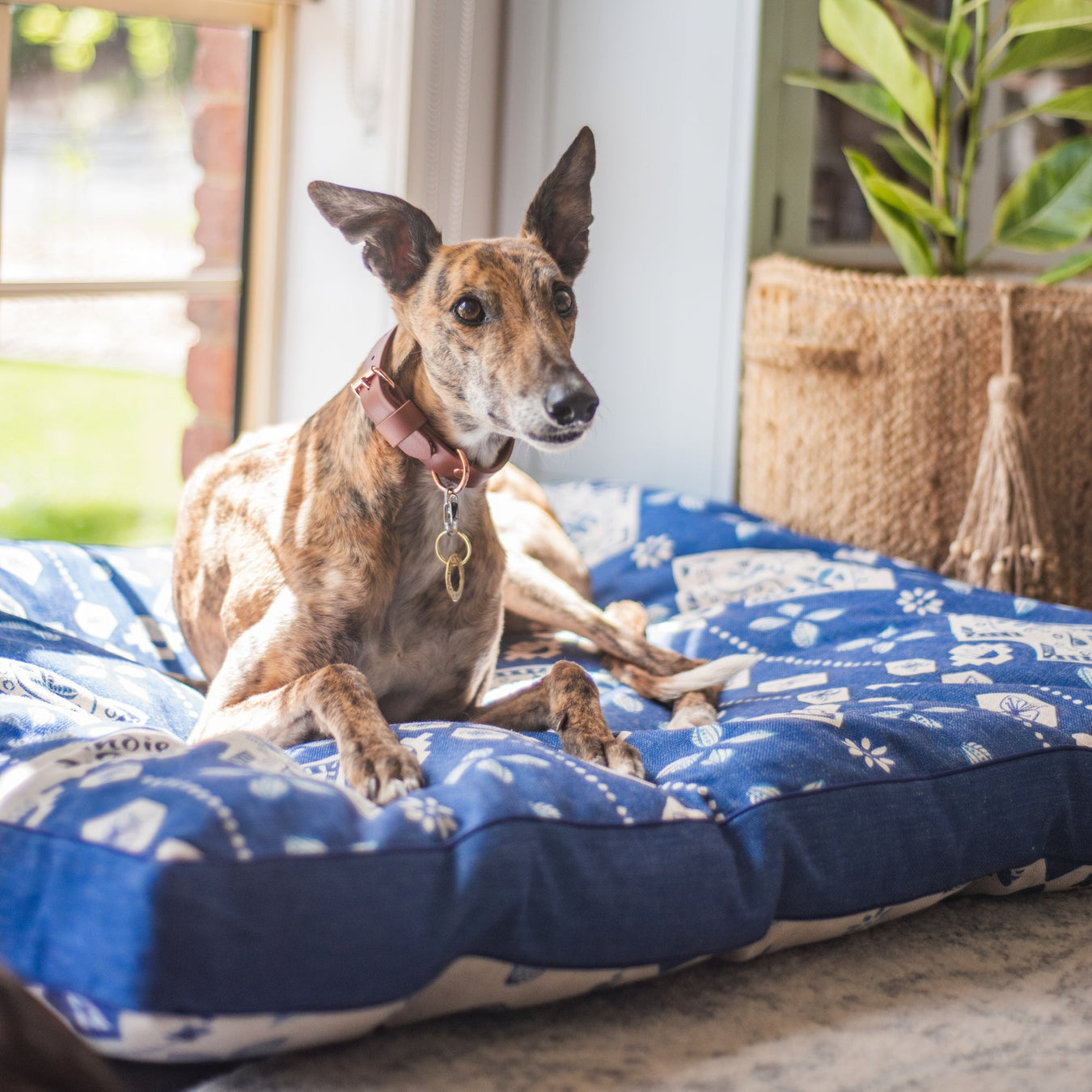 Noosa Nights washable dog bed