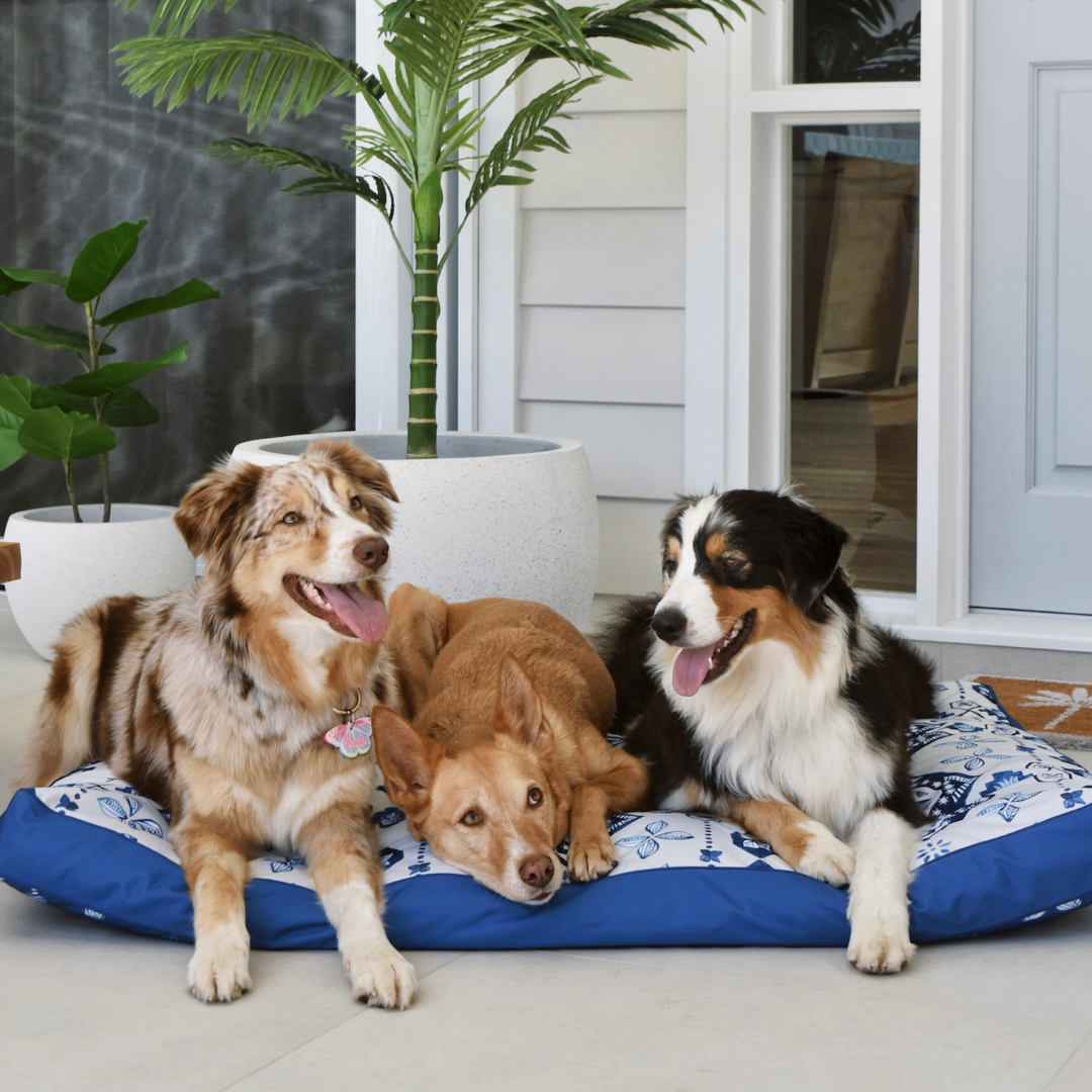 XX-LARGE Water-Resistant DOG BEDS with insert