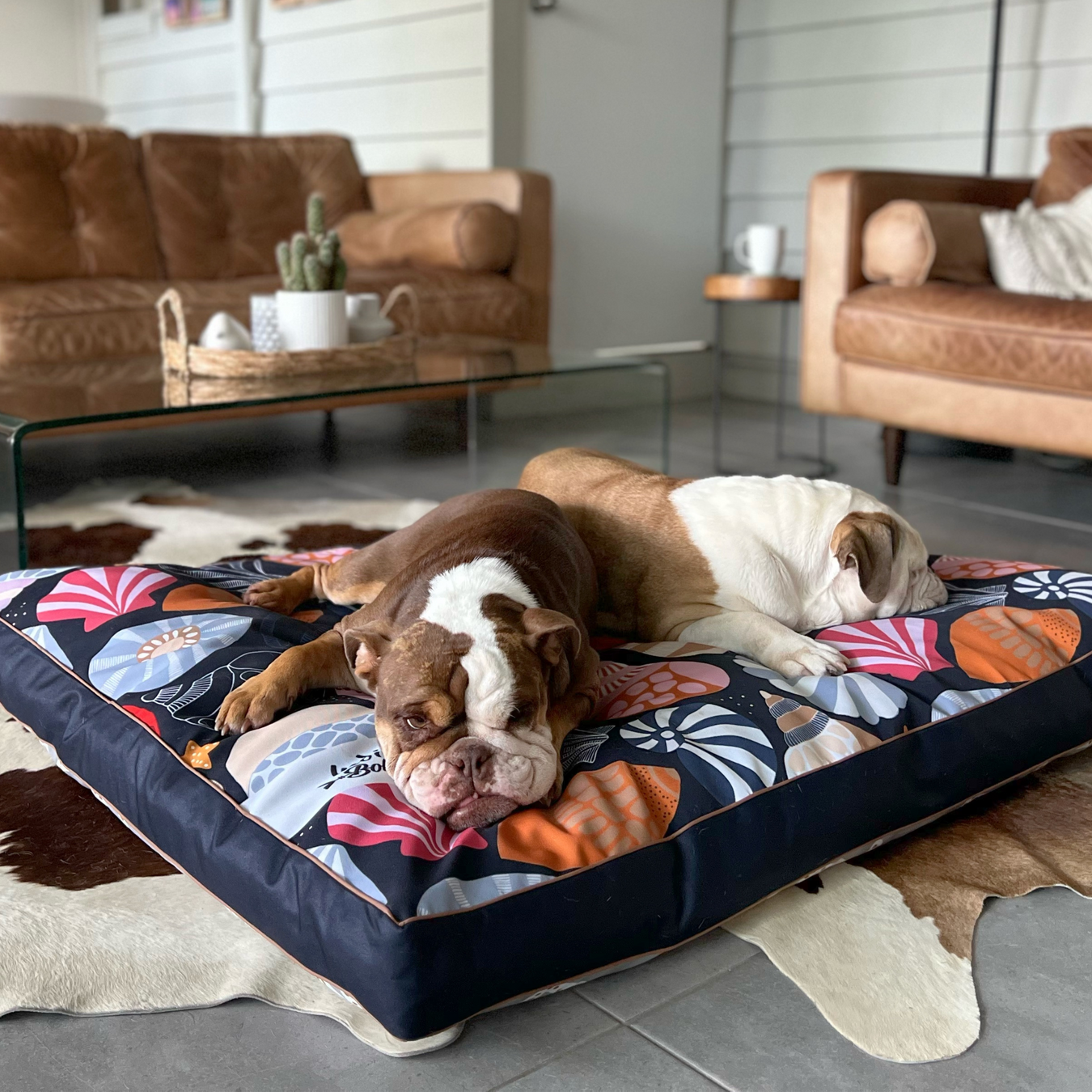 XX-LARGE Water-Resistant DOG BEDS with insert