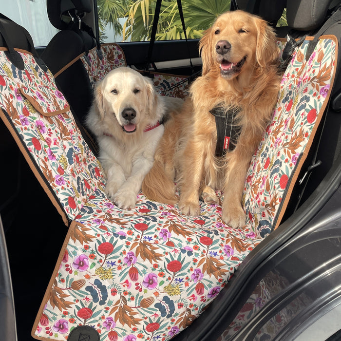 Cute golden retriever dogs on car seat protector in Australia 