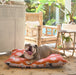 Outdoor Waterproof Pet Bed Australia