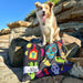 Beach Towel for Dogs