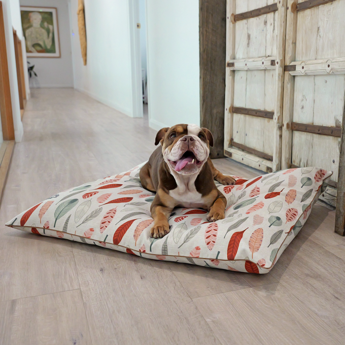 Best bed for dogs and cats