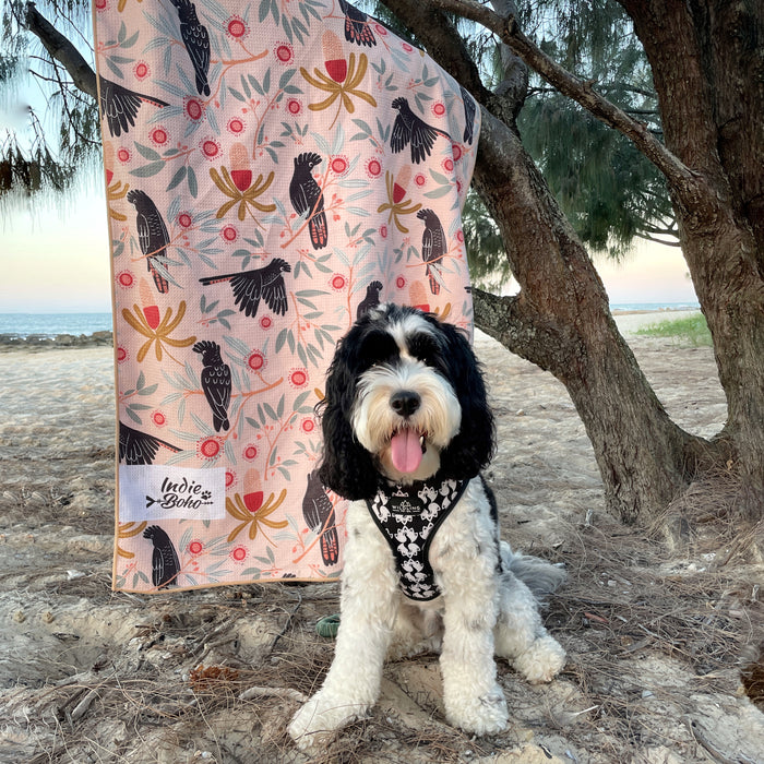 Beach towels Australia