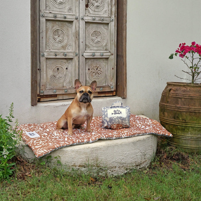 Dog mat for training at home an cute french bulldog