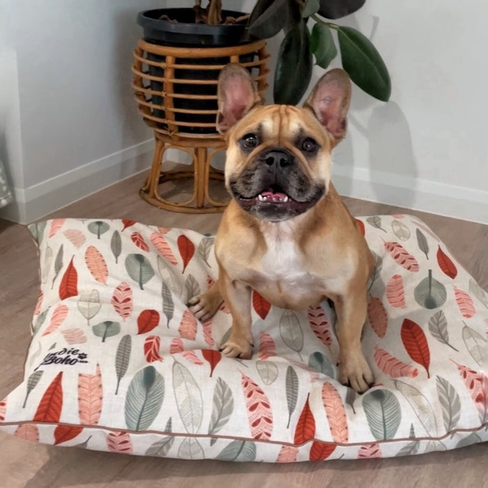 High quality, long-lasting dog bed Australia