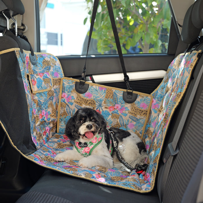 Cavoodle on leopard single dog seat cover buckle restraint