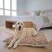 Boucle dog bed covers comfort and tough