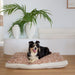 Giant washable luxe indoor dog beds