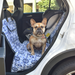 Two-In-One Dog Car Seat Cover - High Quality, Durable, Unique Designs