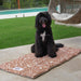 Giant dog place training mat