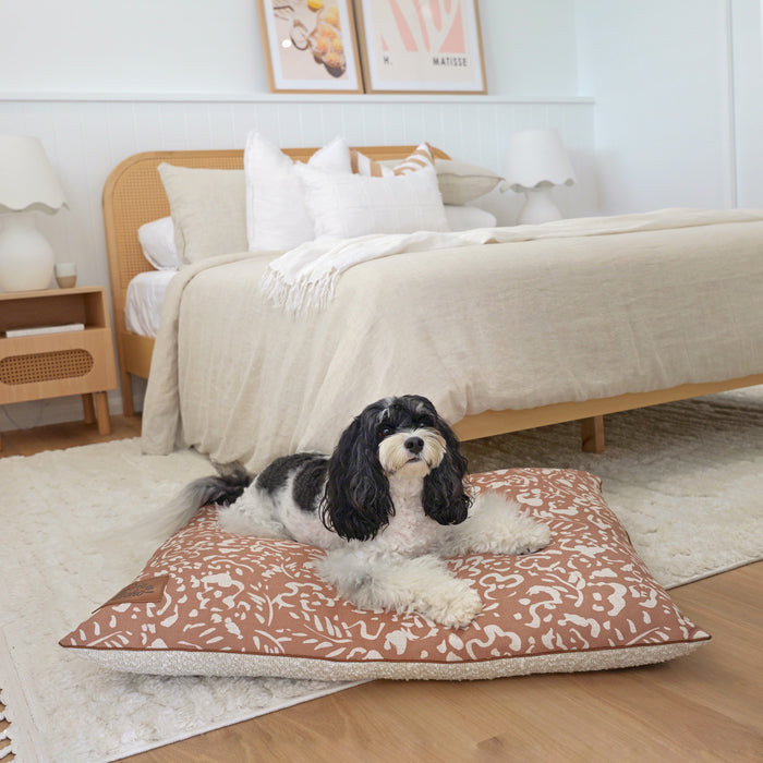 luxe pet beds australia boucle