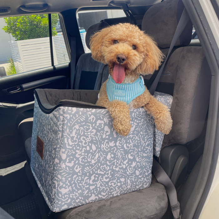 Car Pet Booster Seats SINGLE Size - Neutral Brushstrokes