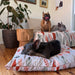 High quality pet beds Australia 