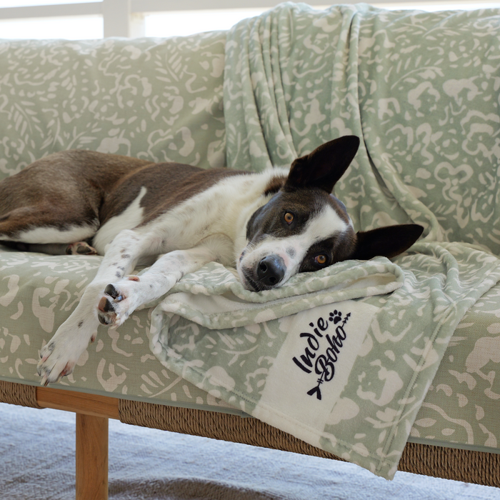 Neutral Brushstrokes - Designer Pet Blanket (PRE-ORDER)