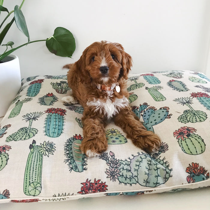 Desert Cacti Linen-Blend – LARGE Dog Bed