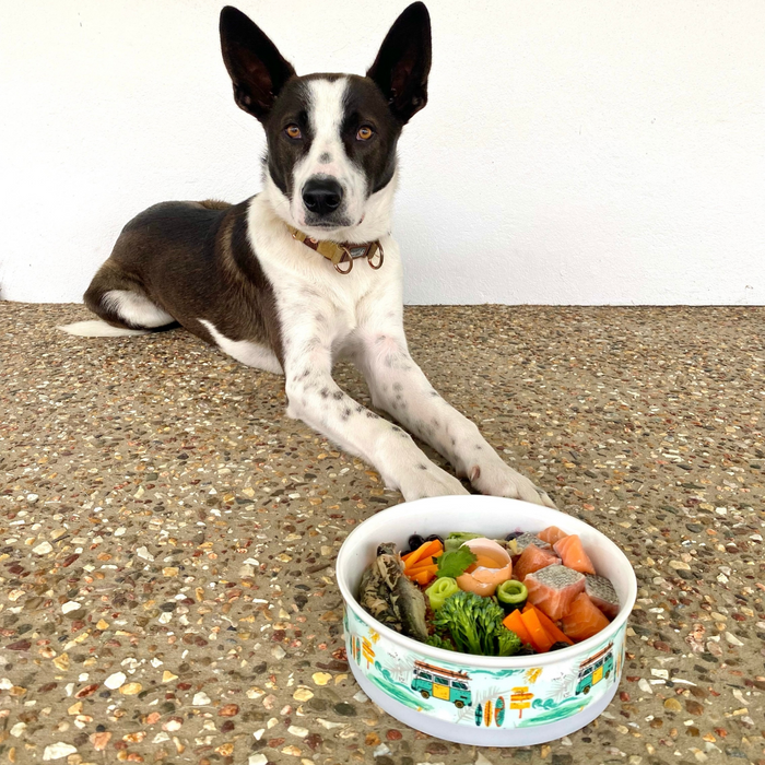 Non-slip ceramic dog bowls 