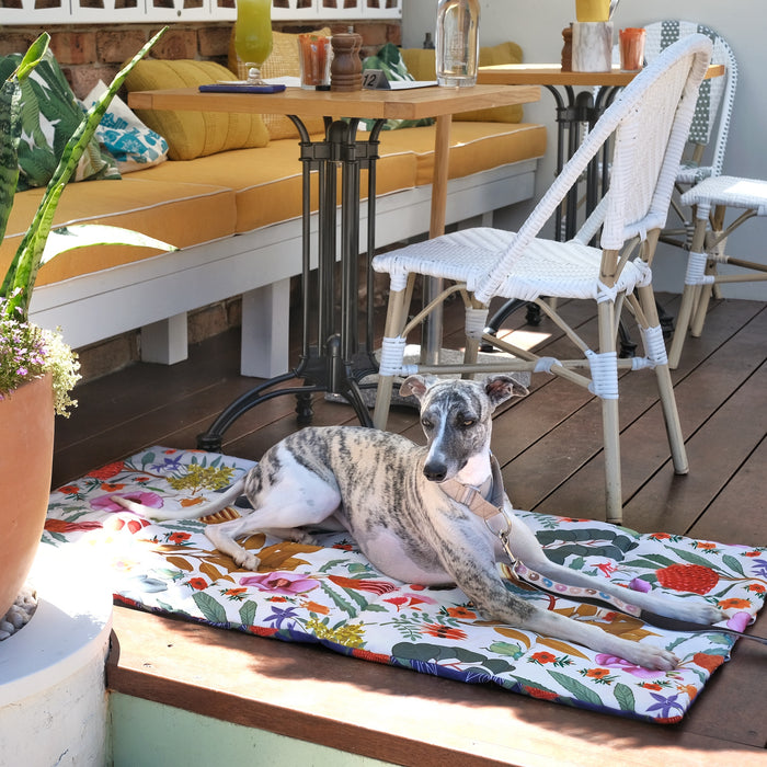 Native Flora Dog Travel Mat