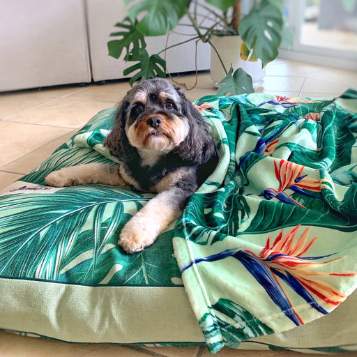 Large fleece dog blanket