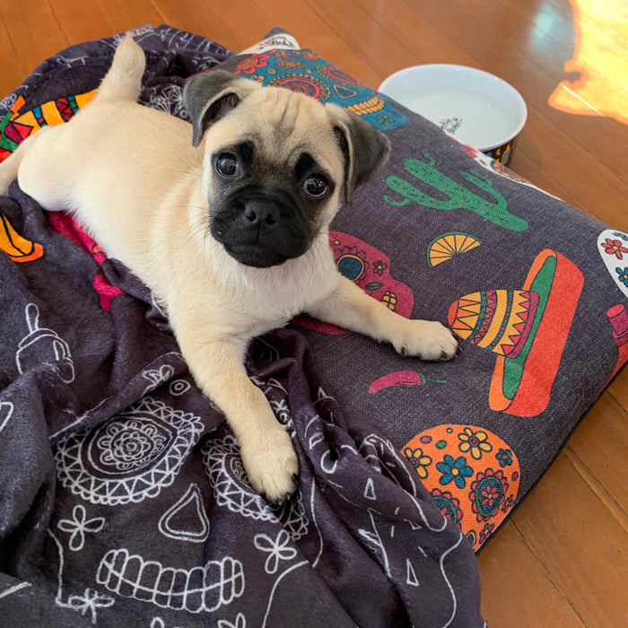 Mexican Skulls - Designer Pet Blanket