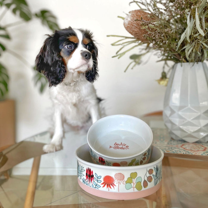 Native Flora Ceramic Dog Bowls Indie Boho