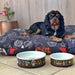 cool dog bed for boys Australia