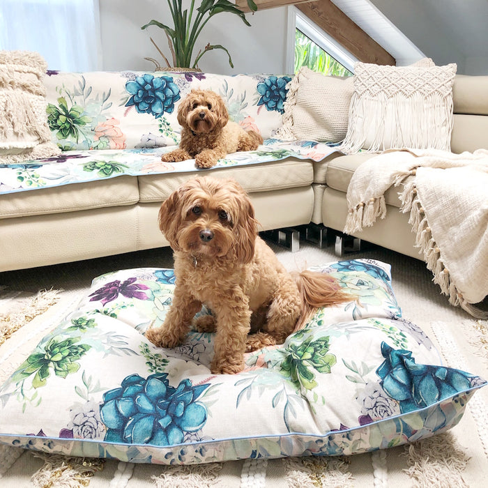 Pet couch protector Australia