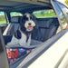 Double car bed for two dogs