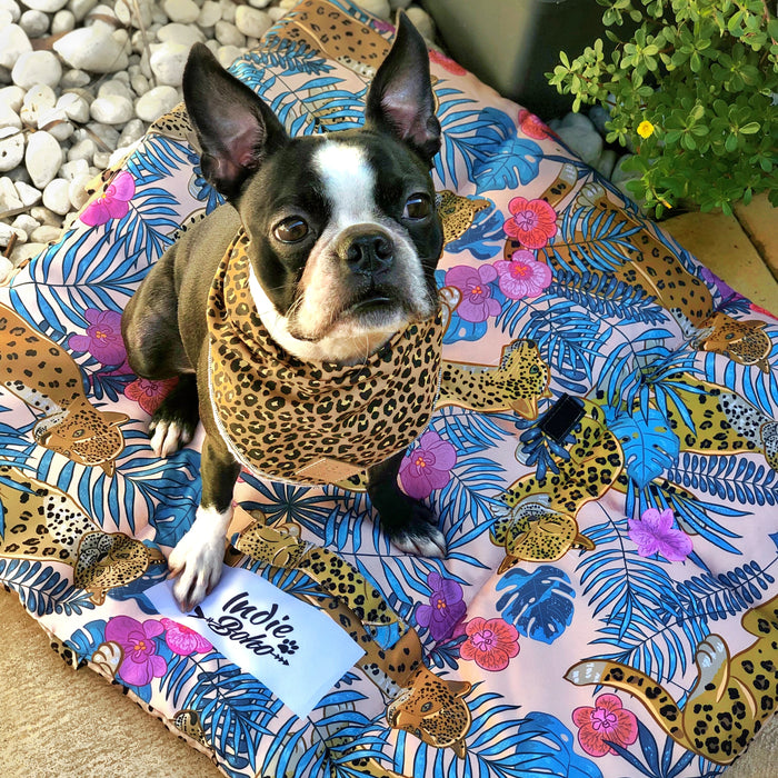 Leopard Luxe Dog Travel Mat