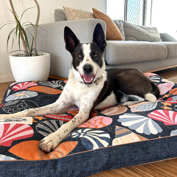 High Quality Beds for large dogs