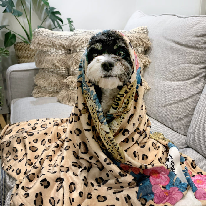 Leopard Luxe - Designer Pet Blanket