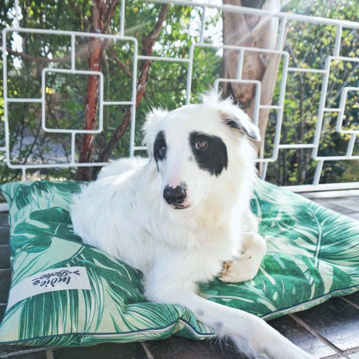 Huge dog bed Australia