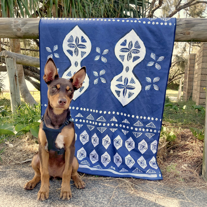 Kelpie with Noosa Nights microfibre dog towel