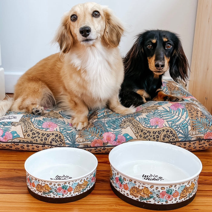 Ceramic Food and Water Bowls