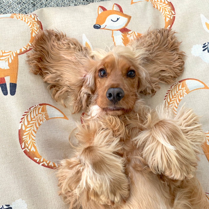 Cute dog bed with fox pattern