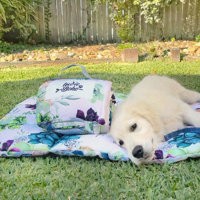 Puppy Mat Training Australia