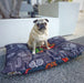 pug cool dog bed washable