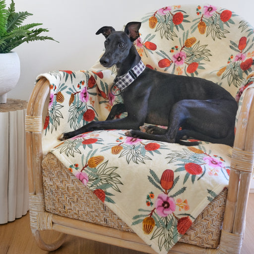 Native Flora Blanket for Pets