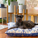 Beautiful dog beds hampton